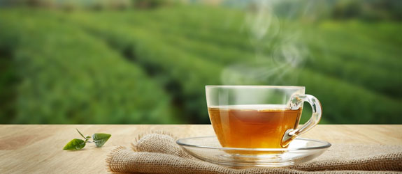 Sip into the Darjeeling Tea