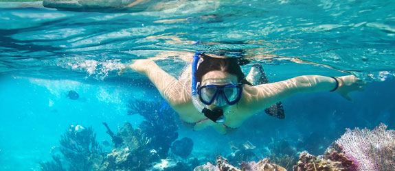 Dive or Snorkel in the Gulf of Thailand