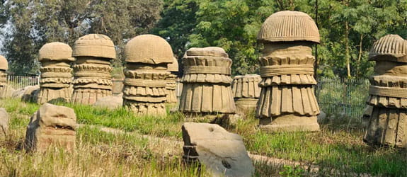 Historical buff in the Kachari Ruins