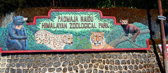 Spot wildlife Padmaja Naidu Zoological Park